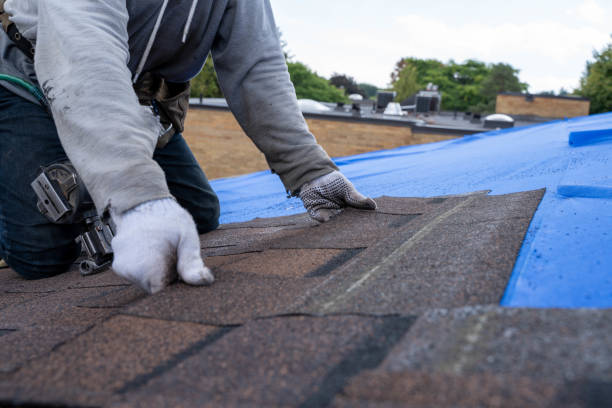Best Tile Roofing Contractor  in Wofford Heights, CA
