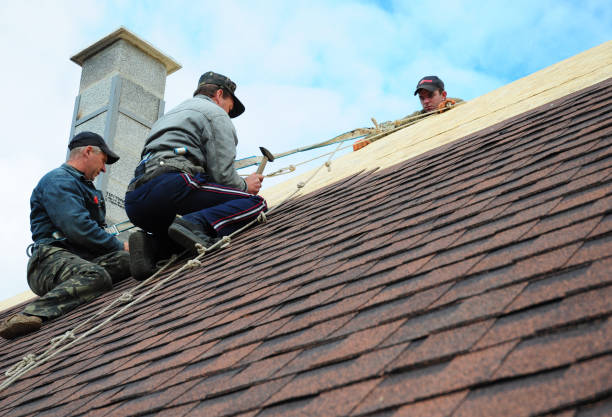 Best Roof Gutter Cleaning  in Wofford Heights, CA